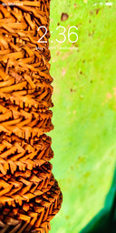 Stick Texture_DWM2
