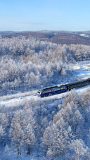 The snow-covered forested plains