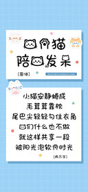 我的猫陪我发呆
