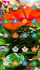 Orange Flowers_DWM3