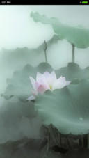 Hà Hoa Luyến