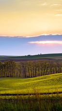 Scenery of South Moravia