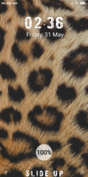 Skin_DWM19