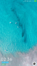看海