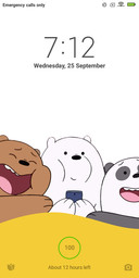 MBare Bear