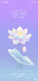 糖果花语