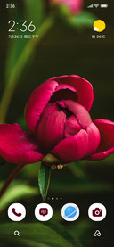 Rosy Touch