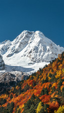 Autumn in the far north