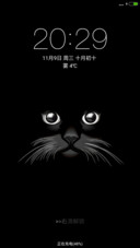 黑cat