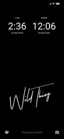 Wild Thing V12