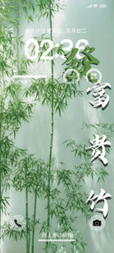 富贵竹X