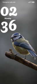 Sky Finch