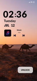 Camel Desert