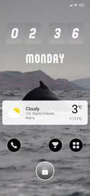 Whale_3
