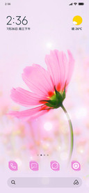 flor rosa M14