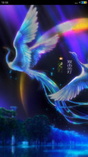 比翼双飞