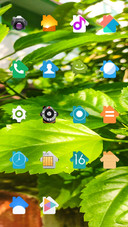 Plant_DWM2