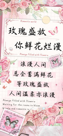 玫瑰盛放你鲜花烂漫