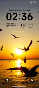 Ins简约海鸥