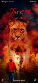 Lion_DWM20