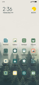 Foggy Forest