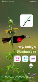 WildLife_6