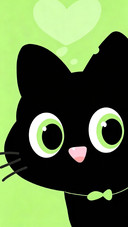 谁能拒绝小黑猫？