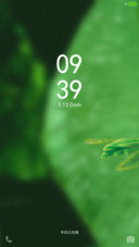 Banana Leaf TT