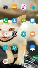 Cat love_DWM2