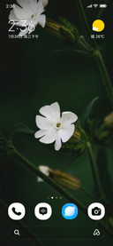 Pearl Bloom
