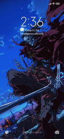 Skeleton captain