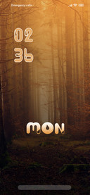 Jungle