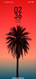 Palm m14