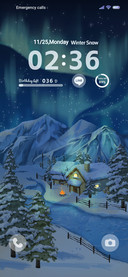Snowy Night Aurora