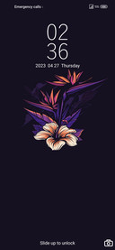 Flower Night M14