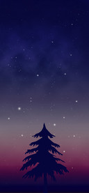 夜星空