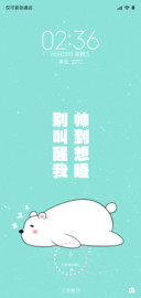 睡觉的小熊