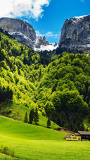 Trees and mountains