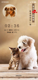 幸福的样子
