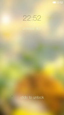 Photosynthesis