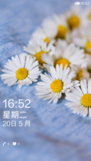 极致扁平