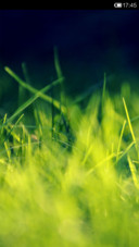 Verdure(自由桌面)