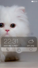 白猫（全图标覆盖）