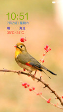 红嘴相思鸟