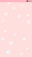 Summer flowers