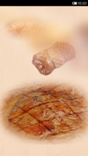 舌尖上的美味
