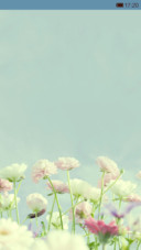 花花世界