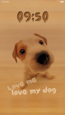 love me,love my dog（图标全覆盖）