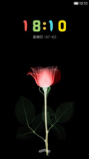 花色流年(文字版)