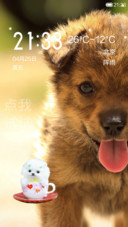 狗狗的世界